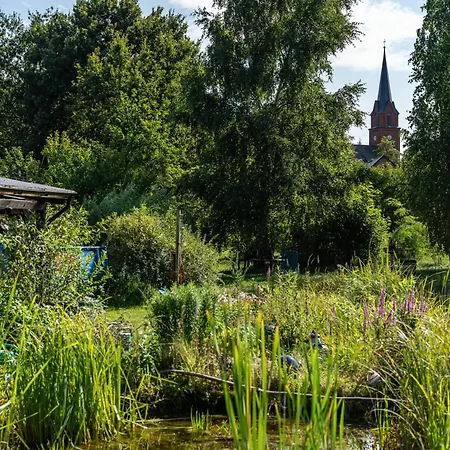Ferienatelier Im Haus Ginkgo Zempow